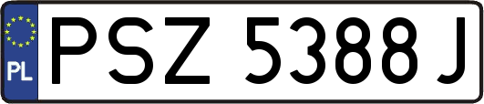 PSZ5388J