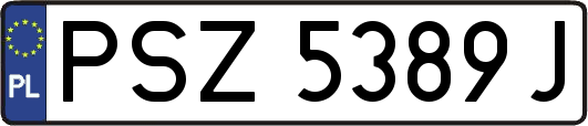 PSZ5389J