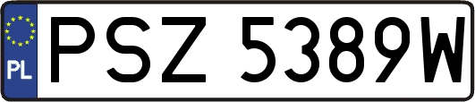 PSZ5389W