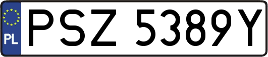 PSZ5389Y