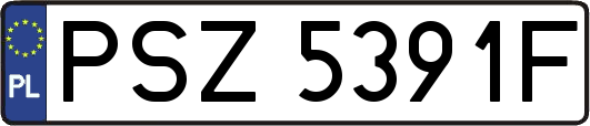 PSZ5391F