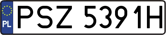 PSZ5391H