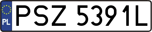 PSZ5391L