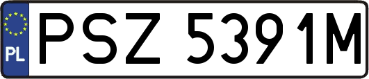 PSZ5391M