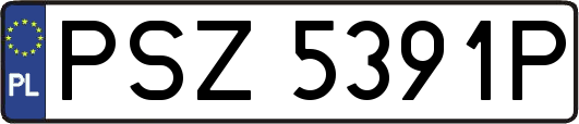 PSZ5391P
