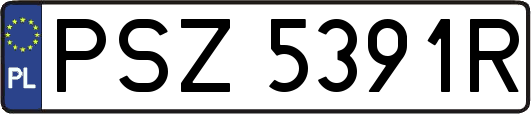 PSZ5391R