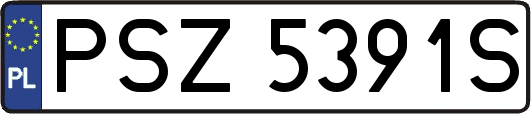 PSZ5391S