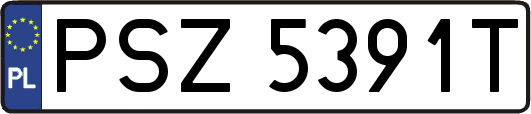 PSZ5391T