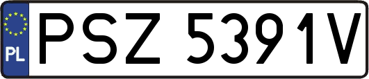 PSZ5391V