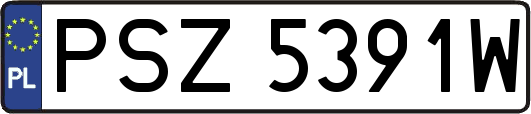 PSZ5391W