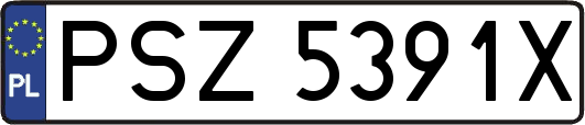 PSZ5391X