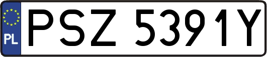 PSZ5391Y