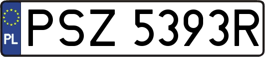 PSZ5393R
