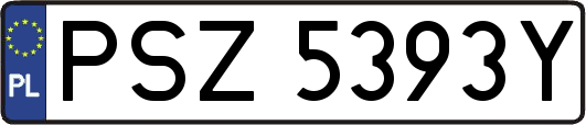 PSZ5393Y