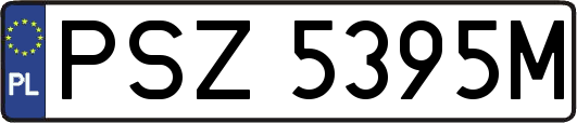 PSZ5395M