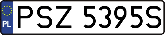 PSZ5395S