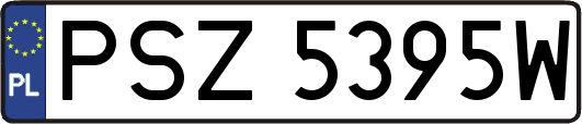 PSZ5395W