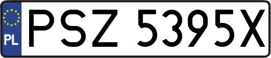 PSZ5395X