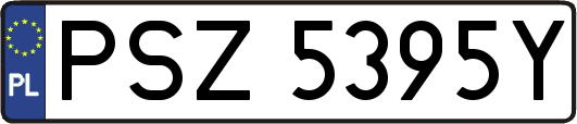 PSZ5395Y
