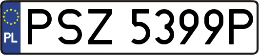 PSZ5399P