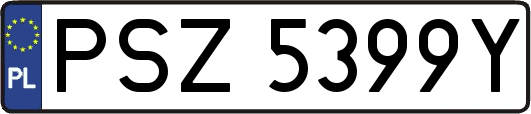 PSZ5399Y