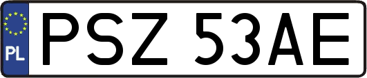 PSZ53AE