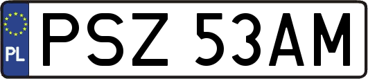 PSZ53AM