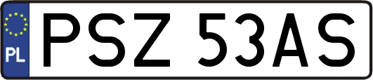 PSZ53AS