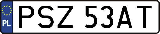 PSZ53AT