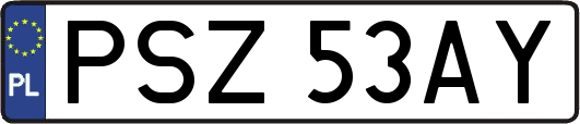 PSZ53AY
