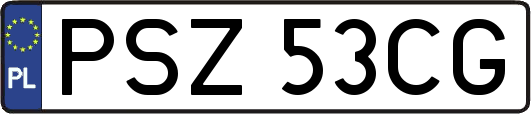 PSZ53CG