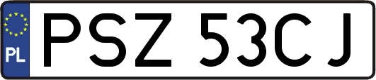 PSZ53CJ