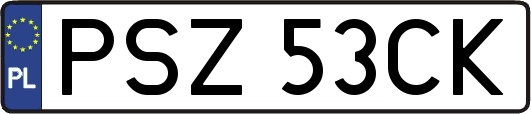 PSZ53CK