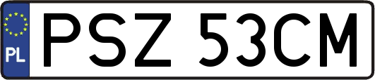 PSZ53CM
