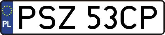 PSZ53CP