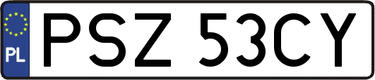 PSZ53CY