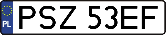 PSZ53EF