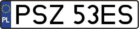 PSZ53ES