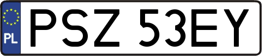 PSZ53EY