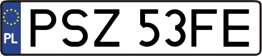 PSZ53FE