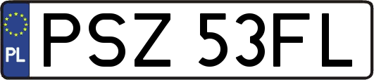 PSZ53FL