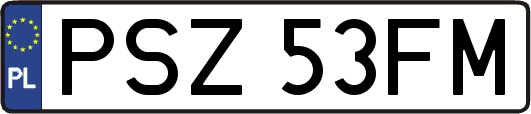 PSZ53FM