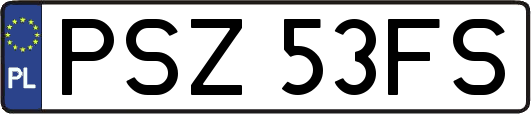 PSZ53FS