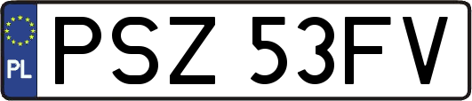 PSZ53FV