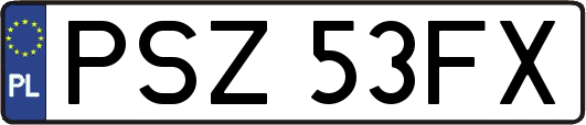 PSZ53FX