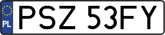 PSZ53FY