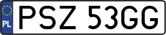 PSZ53GG