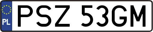 PSZ53GM