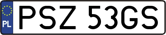 PSZ53GS