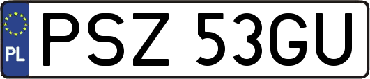 PSZ53GU